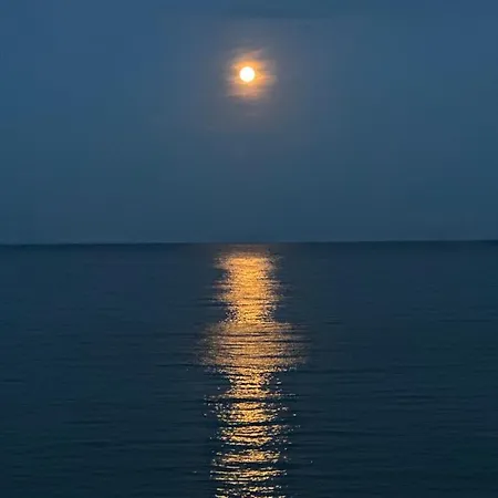 Oazis Sea View * רבדה